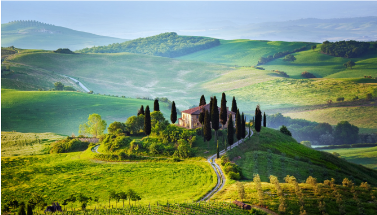 [Итальянец] Партизанский Бурж. Как подружиться с Коллективным Западом (2024)