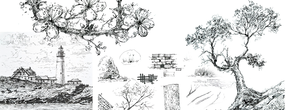 [Marker School] [Анастасия Агеева] Базовый курс графики. Основы (2024)