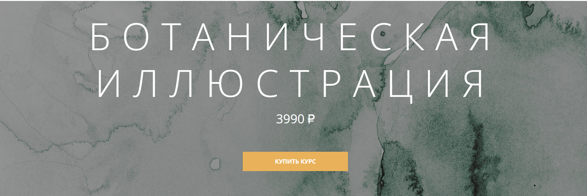 [Арткласс] Ботаническая иллюстрация (2024)