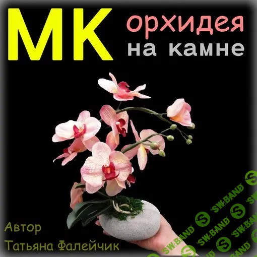 [Татьяна Фалейчик] Дикая орхидея на камне (2023)