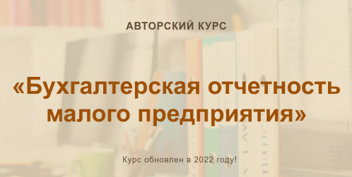 [Ольга Шулова, Валентина Власенко] Бухгалтерская отчетность малого предприятия (2022)