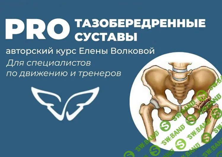 [Елена Волкова] Про ТБС. Здоровые и гибкие тазобедренные суставы (2022)