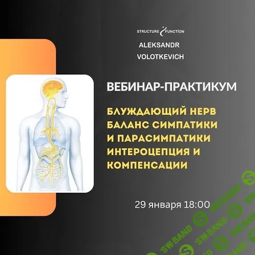 [Александр Волоткевич] Блуждающий нерв - баланс симпатики и парасимпатики (2025)