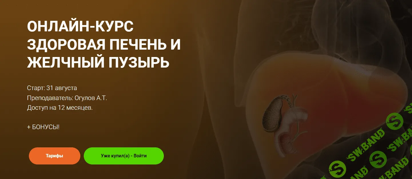 [Академия Огулова] Здоровая печень и желчный пузырь (2023)