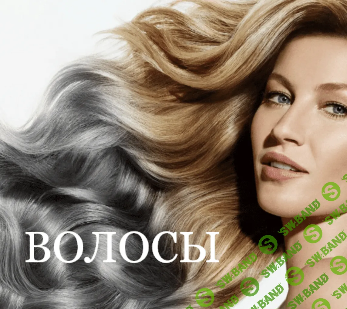 [kronindoc] Волосы (2023)