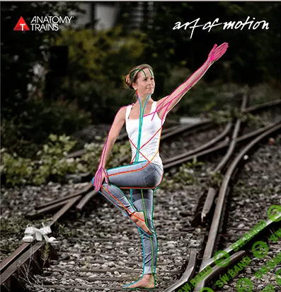 [Artofmotion, Александра Кибзий, Лидия Лаврукович, Анна Селиверстова, Ольга Романова] Анатомические поезда в движении (2023)