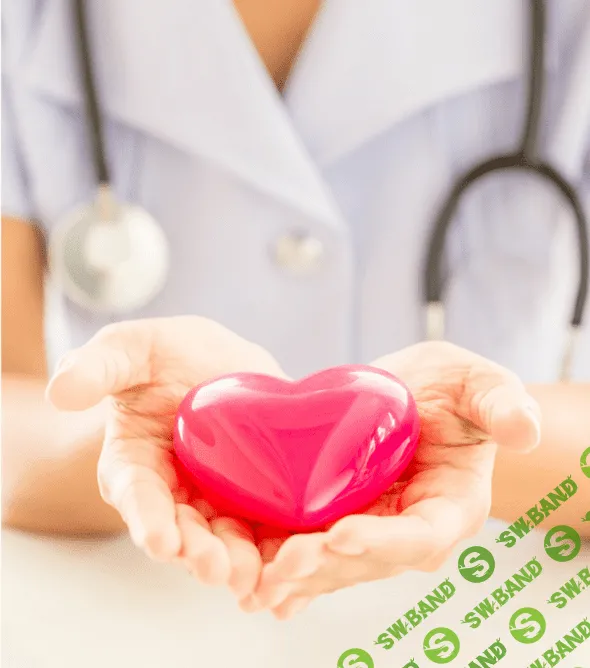 [Fantel] Общие принципы поддержки сосудов в домашних условиях (2023)