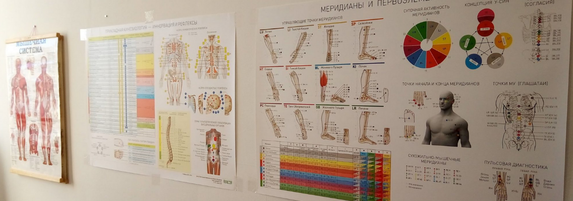 kinesio.space - Плакат "Иннервация и Рефлексы" (2024)