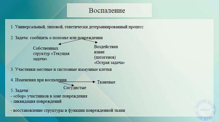 SUPER VIP [Юлия Блюм] Вебинар "Нейровоспаление" (2022)