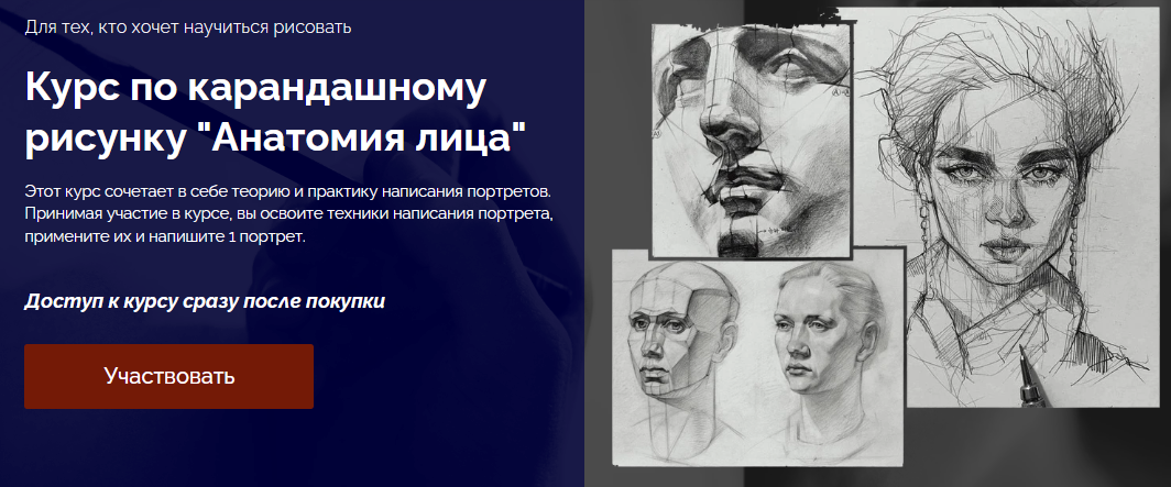 [Ольга Базанова] Курс по карандашному рисунку «Анатомия лица» (2024)