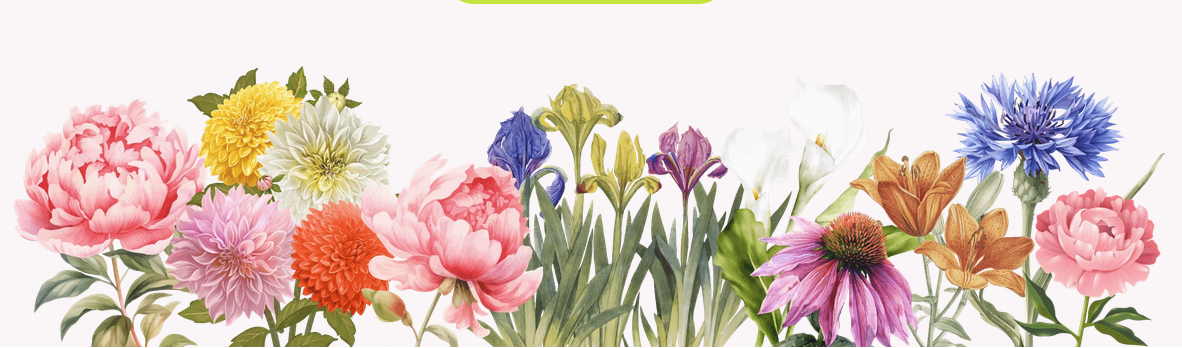 [Людмила Гиевая] Многолетники: создание малоуходных цветников (2025) [Тариф Самостоятельный]