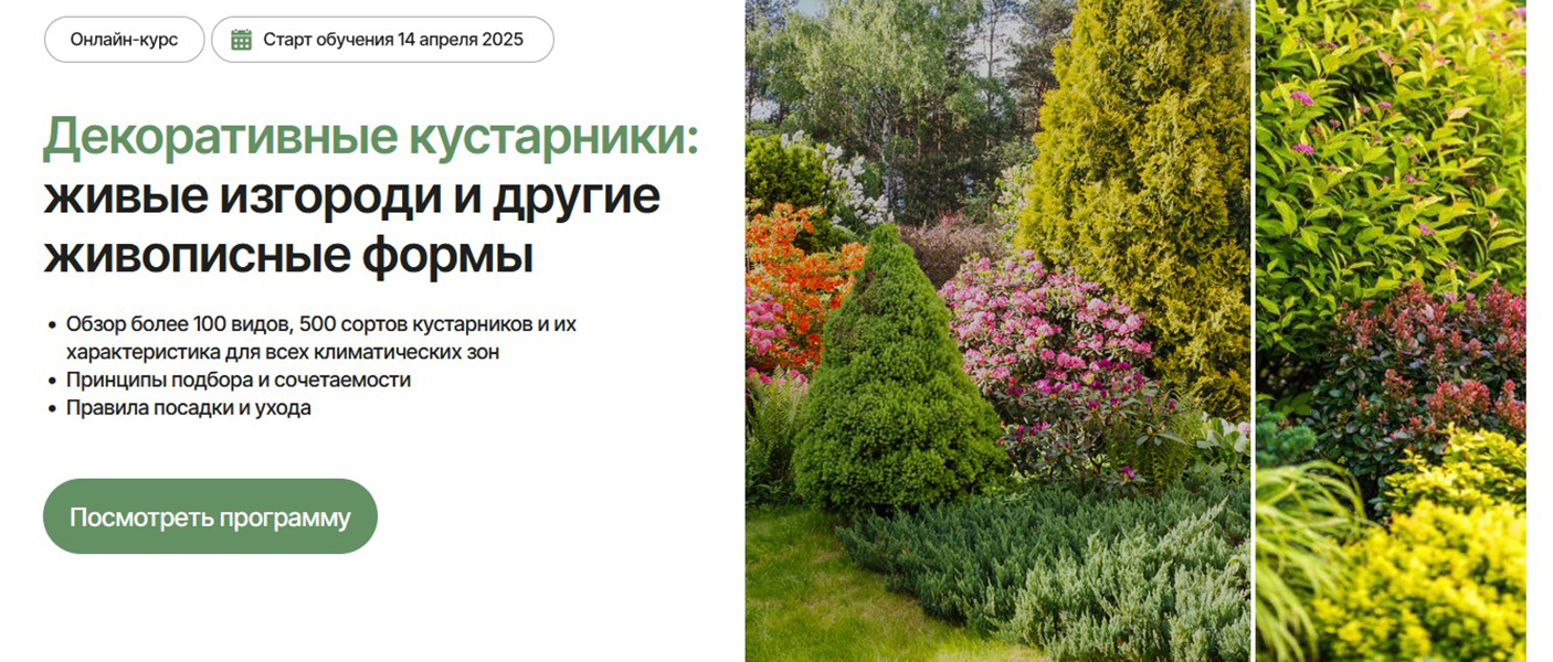 [Елена Савич] Декоративные кустарники: живые изгороди и другие живописные формы [Тариф Оптимальный]
