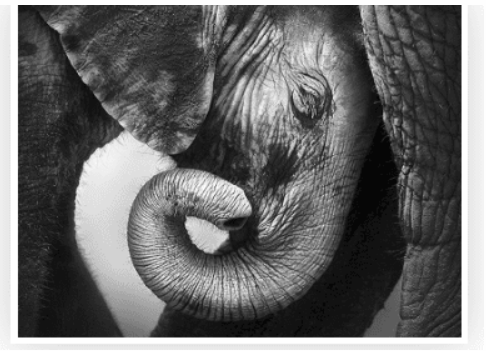 [Высшая школа психологии] Интегральный подход психологической работы с травмой развития. Раздел 4