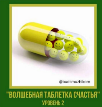 [Владимир Баранов] Волшебная таблетка счастья. Уровень 2. Будь с мужиком (2025)