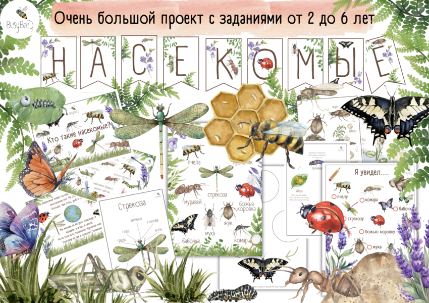 [BusyBee] Елена Самсонова ― Большой проект «Насекомые» (2025)