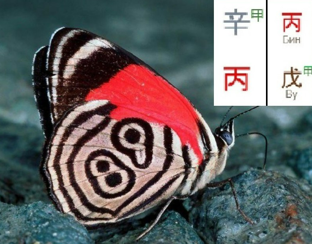 [Ольга Фандорина] Выбор профессии. Вебинар 2 (2025)