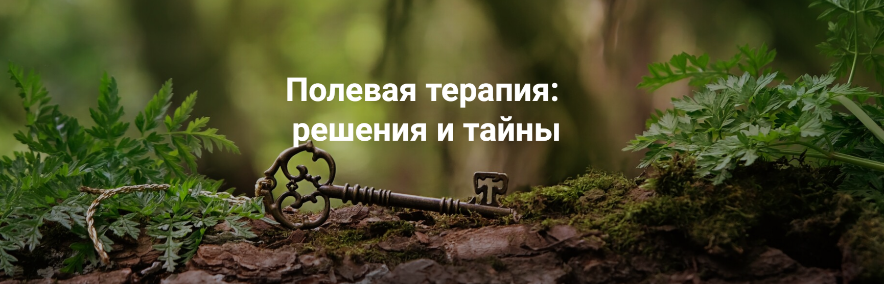 [Институт Открытого поля] Елена Веселаго ― Полевая терапия: решения и тайны (2025)