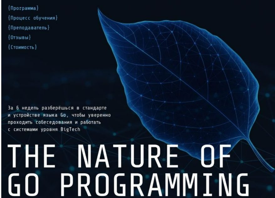 [Игорь Панасюк] The Nature of Concurrency - Курс по многопоточному программированию (2025)