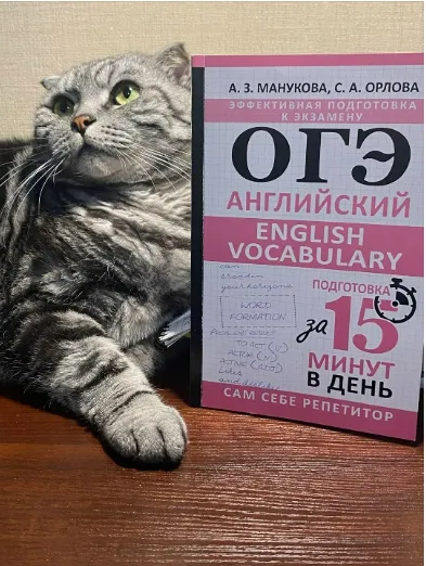  [Светлана Орлова, Аида Манукова] [Англомастер] Лексика для ОГЭ. Интерактивный курс (2025)